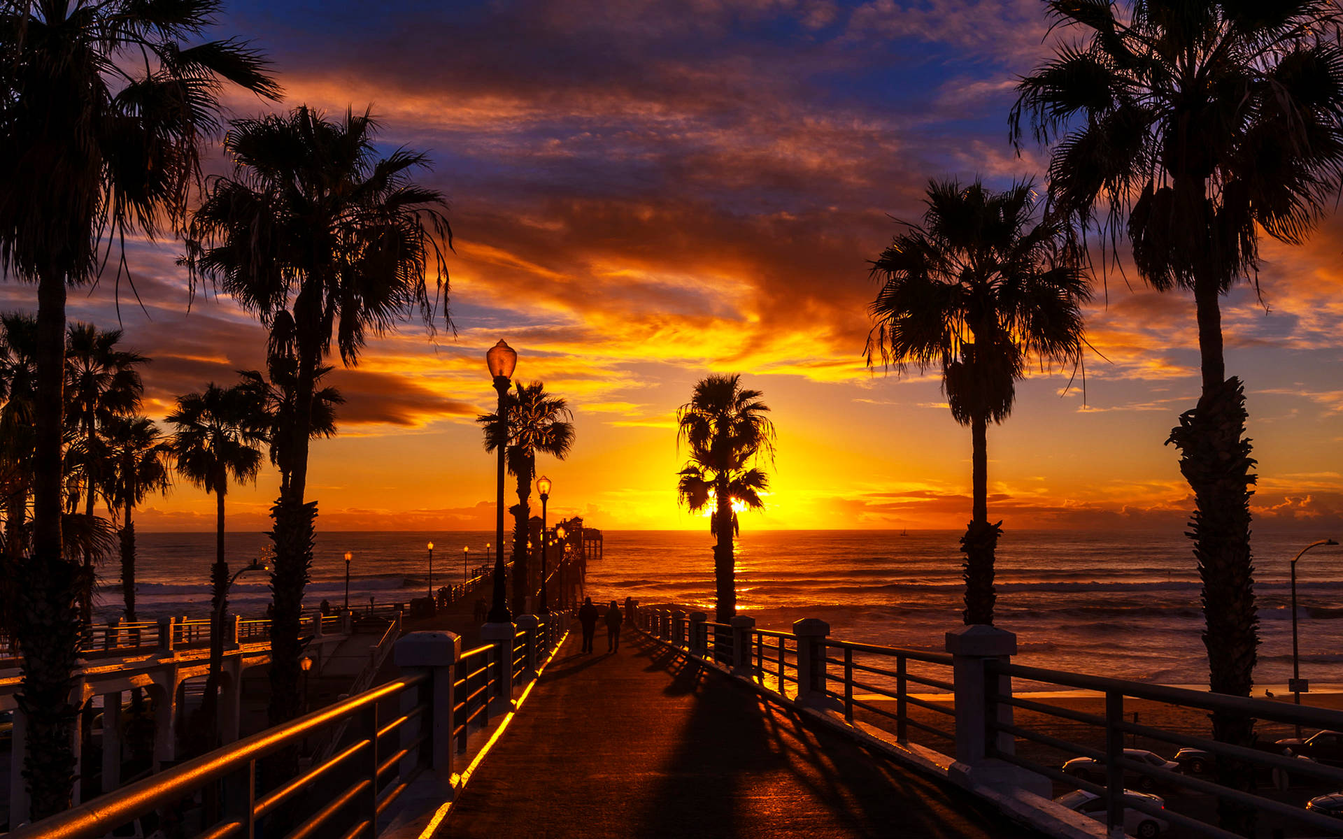 Palm Tree Sunset Wallpaper