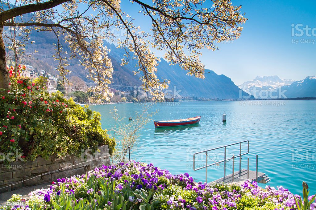 Flowers Mountains And Lake Geneva In Montreux Switzerland Stock