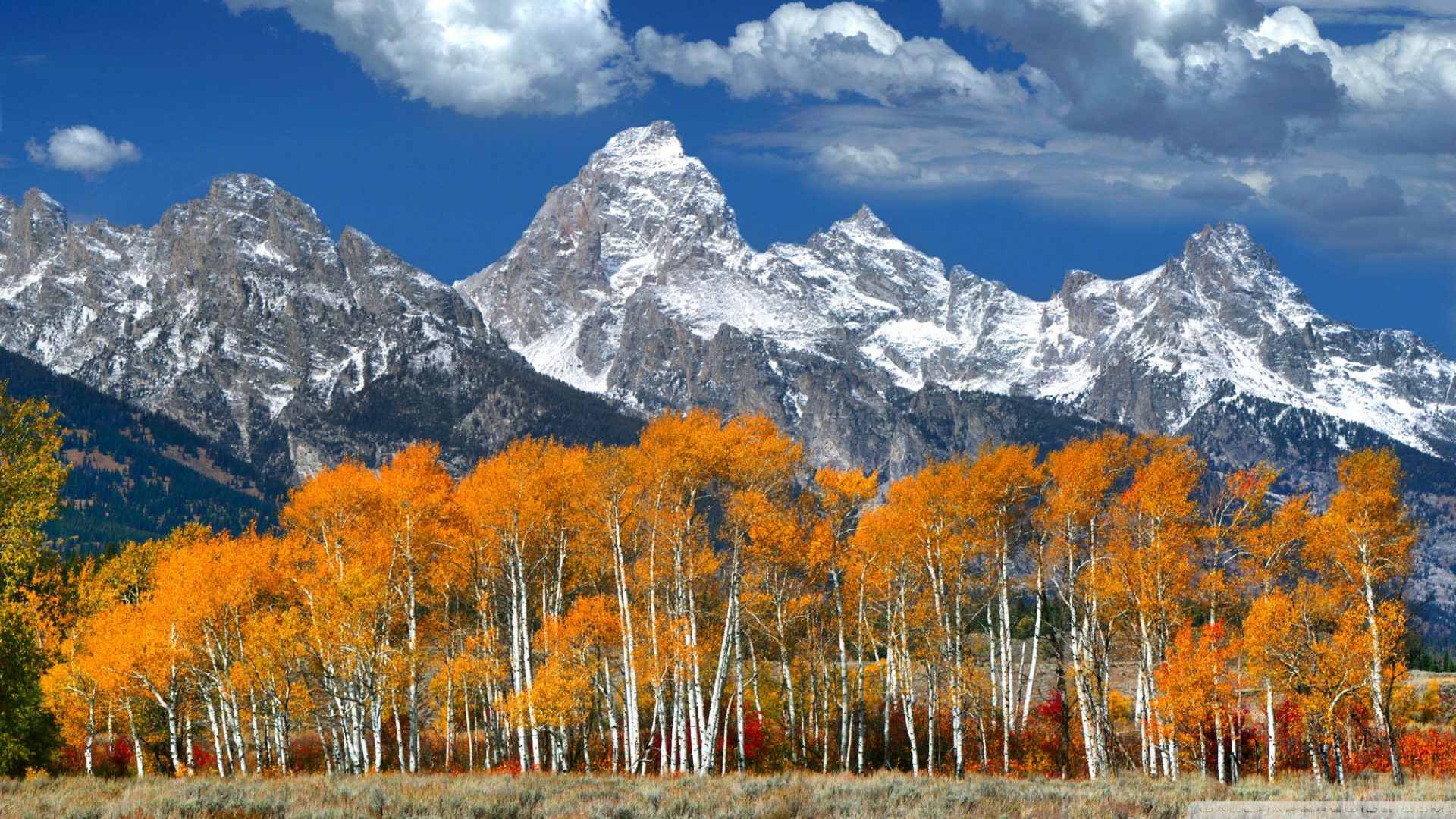 Autumn Landscape Mountain Wallpaper Image