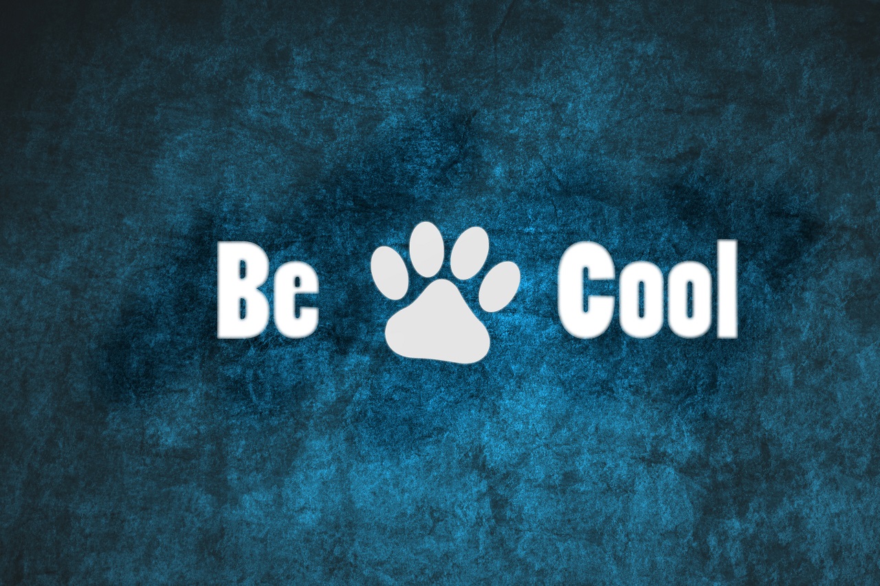 Be Furry Cool Background By Riddle Fur Affinity