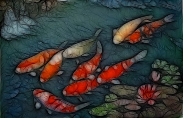 Japan Fish Koi Wallpaper
