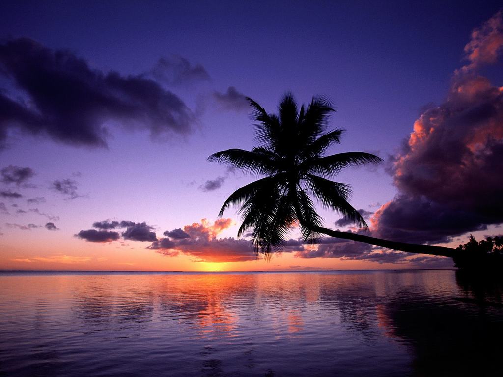 Tropical Beach Sunset Desktop Wallpaper 1024x768