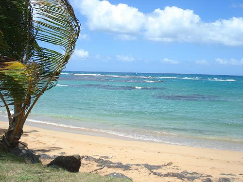 Mejores Playas De Puerto Rico Nombres E Informaci N