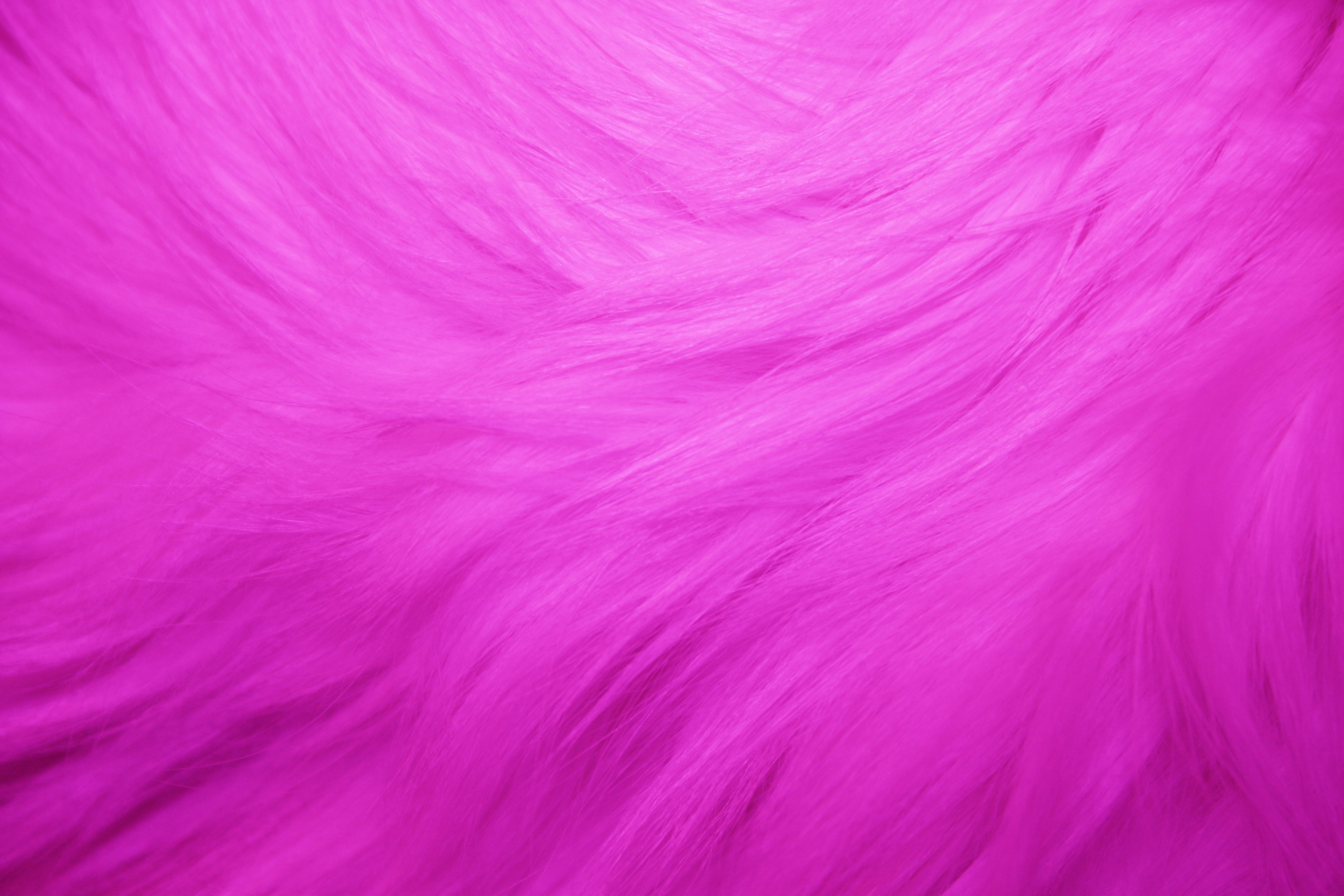 Hot Pink Fur Texture   Free High Resolution Photo   Dimensions 3888