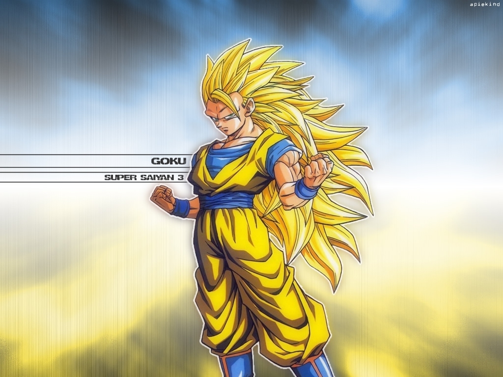 Goku Super Saiyan 3 Wallpaper 1024x768