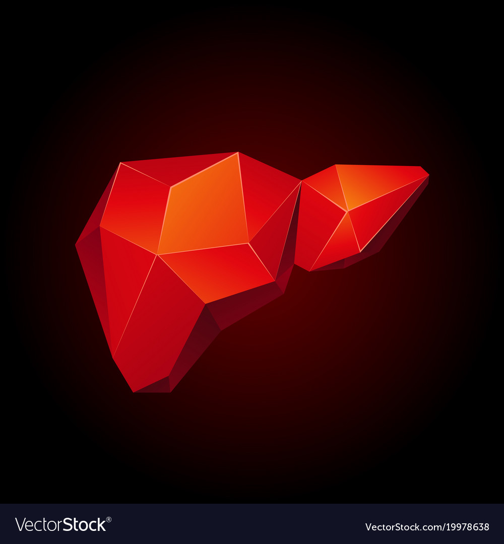 Red Low Poly Human Liver On A Black Background Vector Image