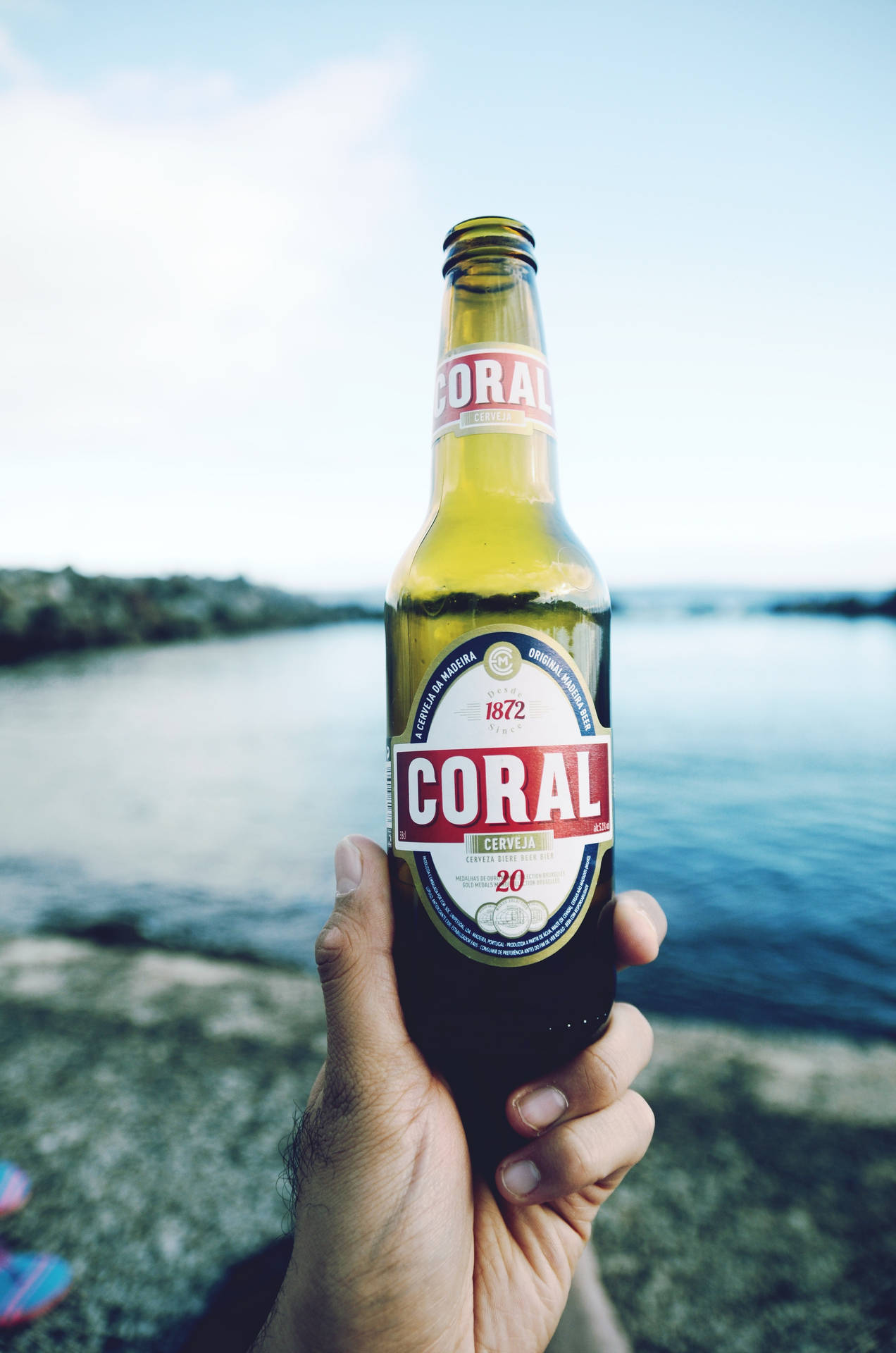 Beer Bottle Coral Pure Malt Wallpaper