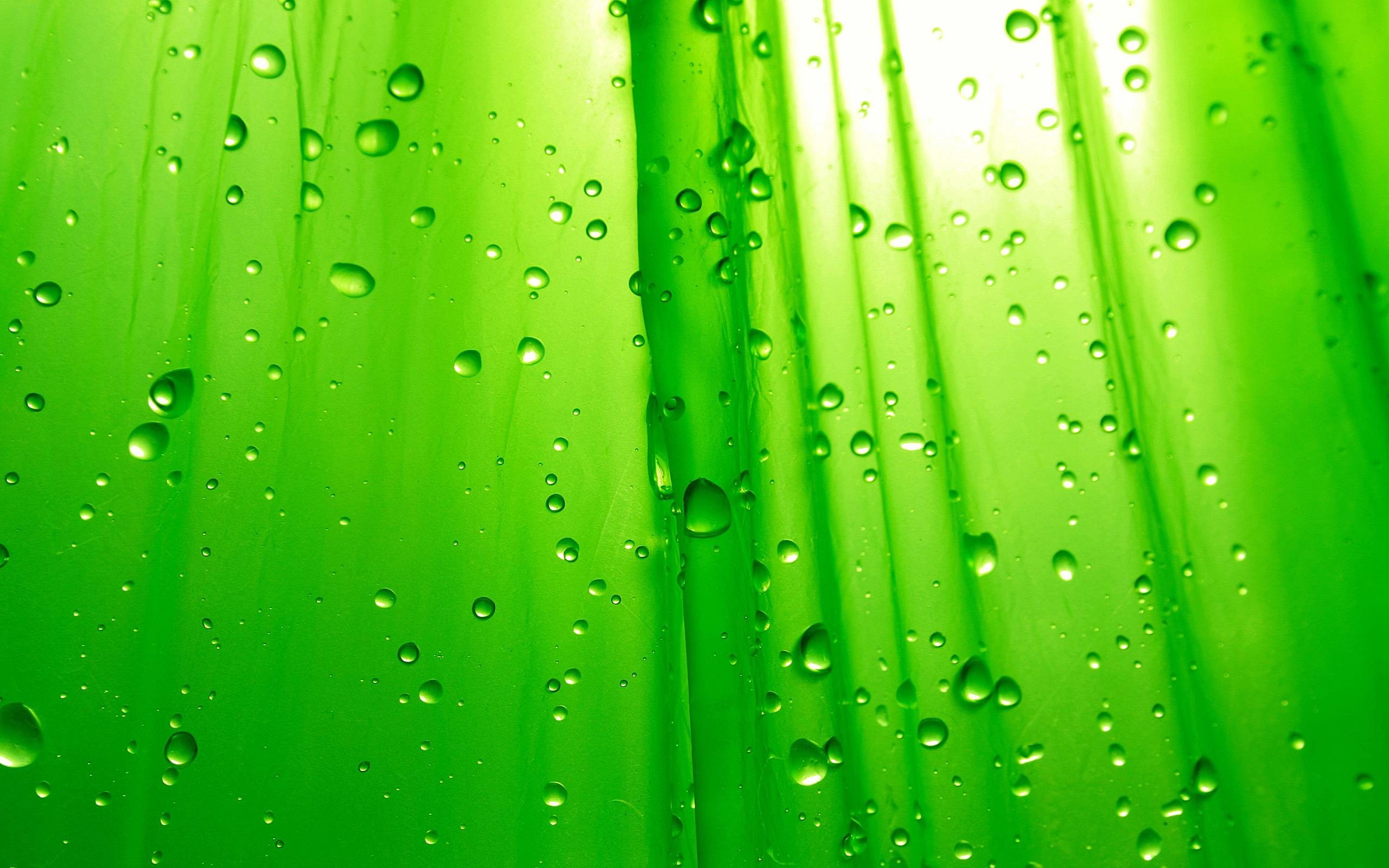 Lime Green Background Wallpaper