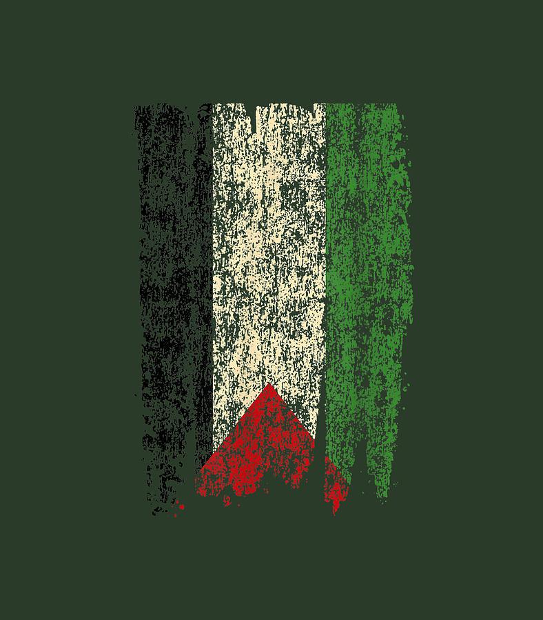 Vintage Palestine Flag Retro Palestinian Digital