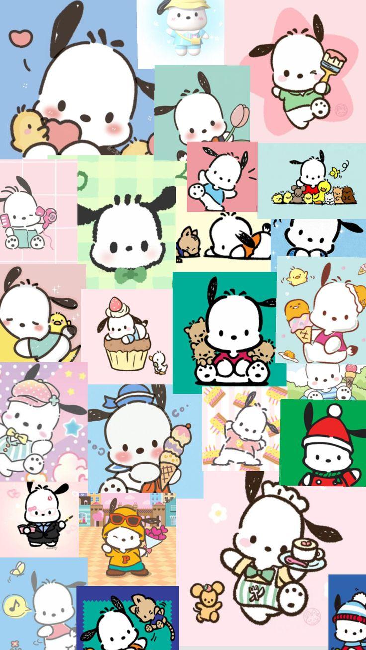 Check Out Awesomeanabella S Shuffles Hellokitty Pochacco In