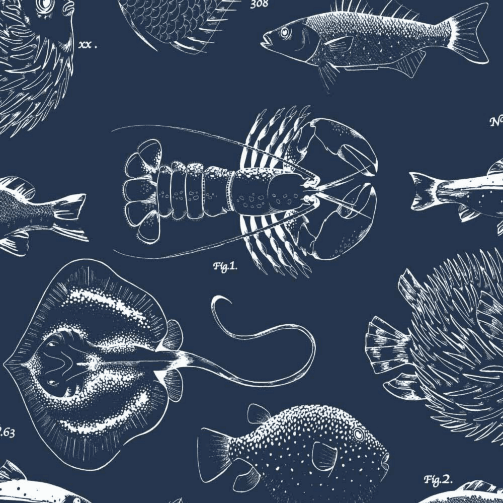Contour Anti Bacterial Blue Ocean Crab Fish Sea Life Wallpaper
