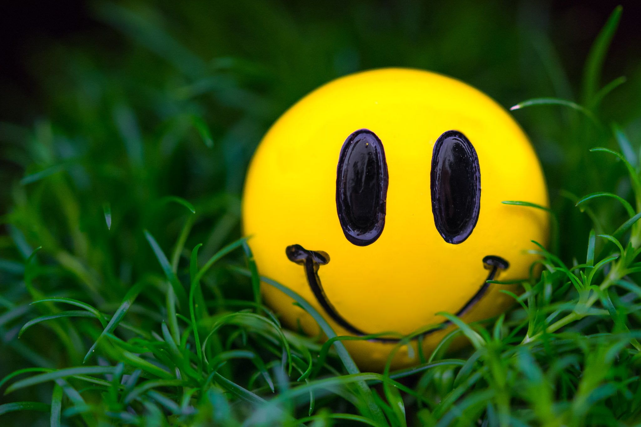 A bright yellow smiley face ball nestled in lush green grass, evoking happiness and positivity