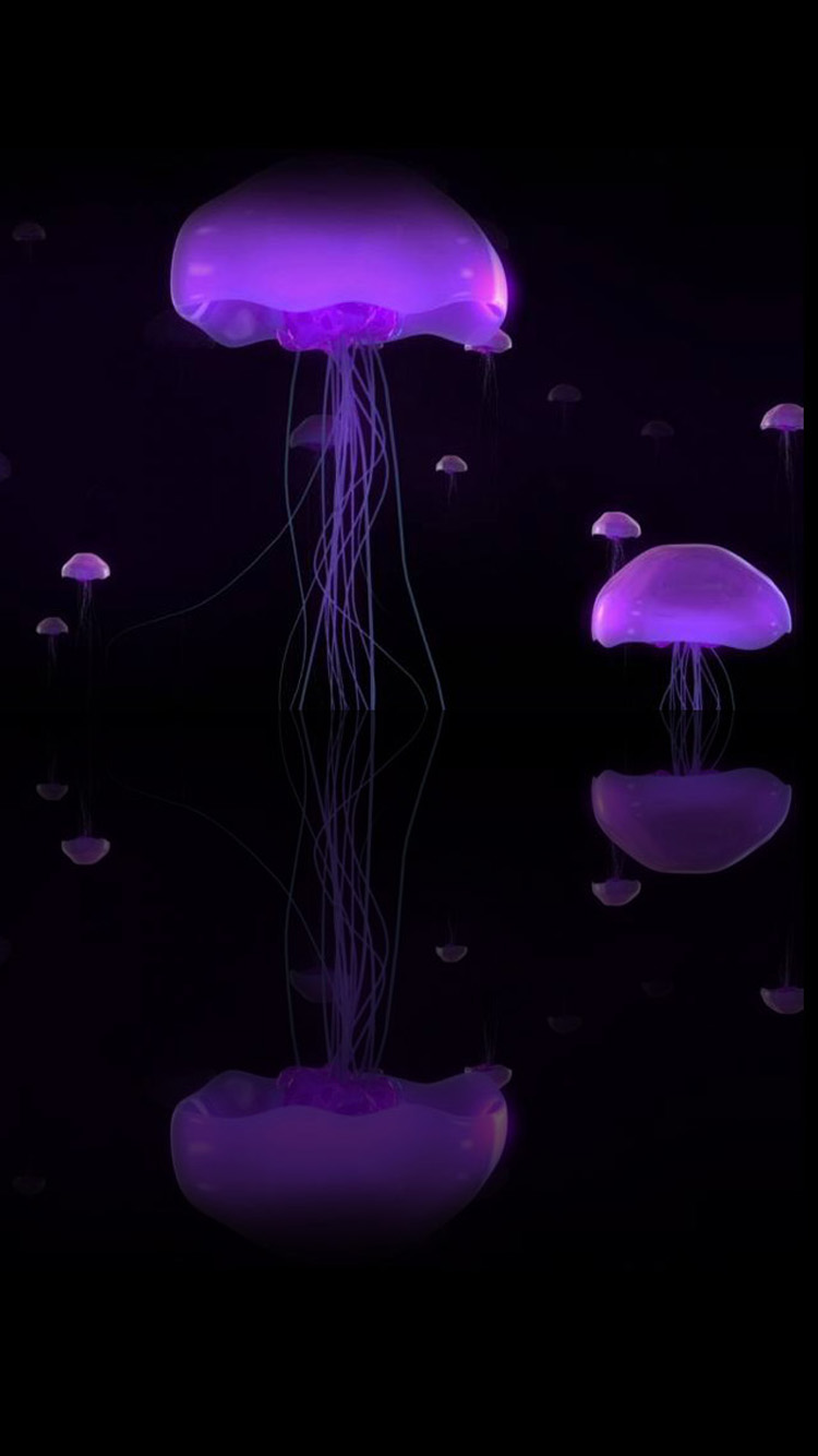 3d Purple Mushroom iPhone Wallpaper And Plus