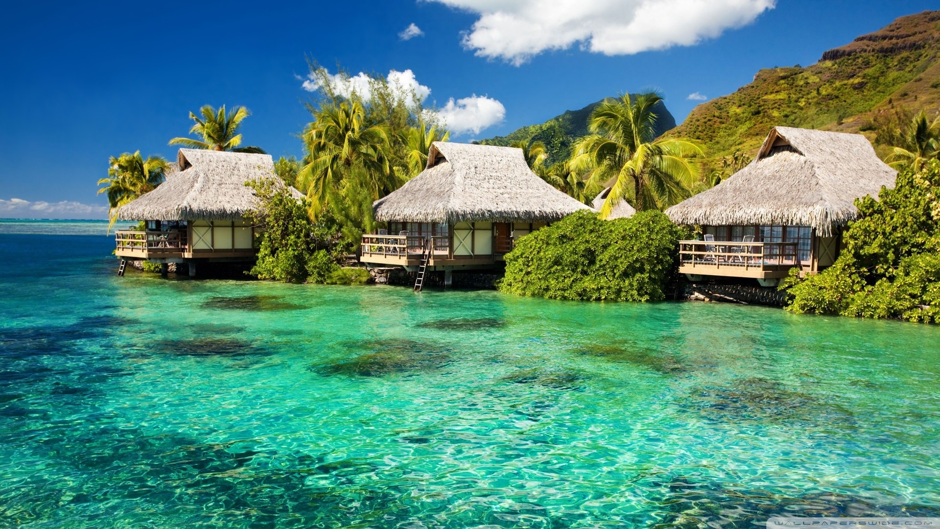  Tropical Island Wallpaper 1920x1080 Water Bungalows On A Tropical