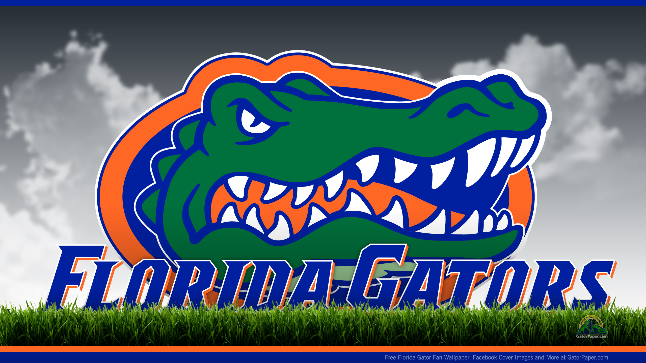 Gatorpaper Florida Gators Field Sports