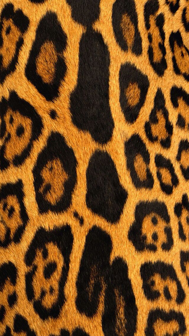 Leopard Print iPhone 5 Wallpaper Iphone prints Print Animal