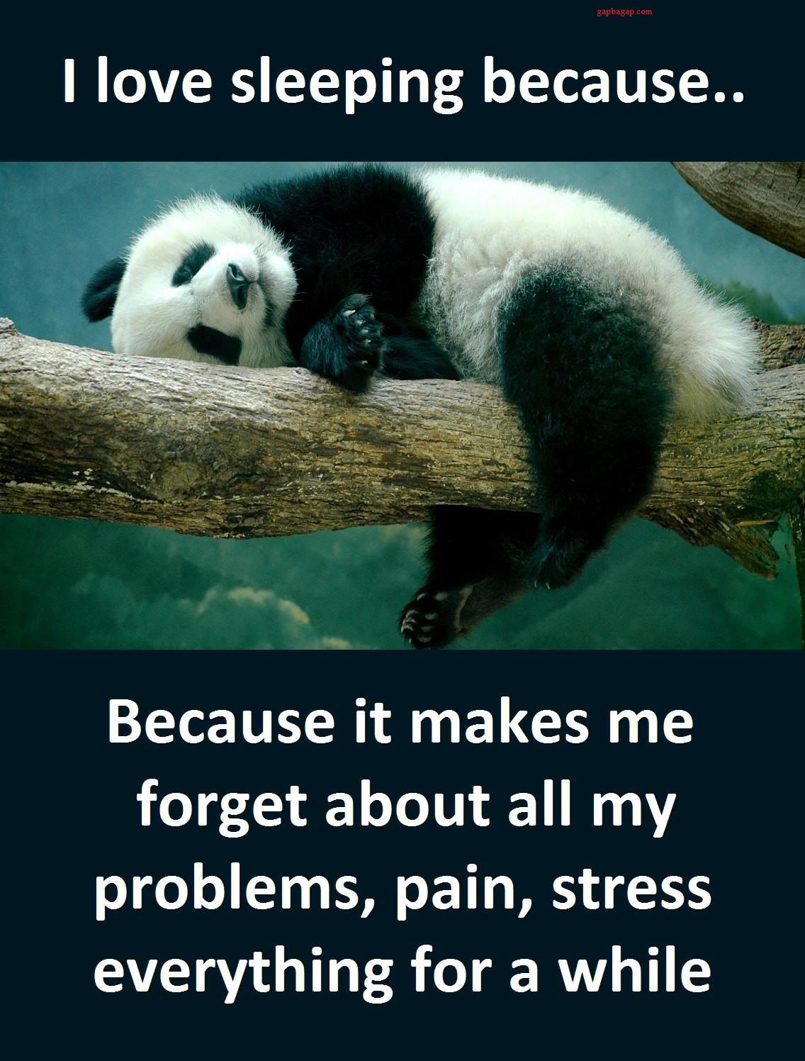 Cute Sleeping Panda Well Said Inspirational Quotes