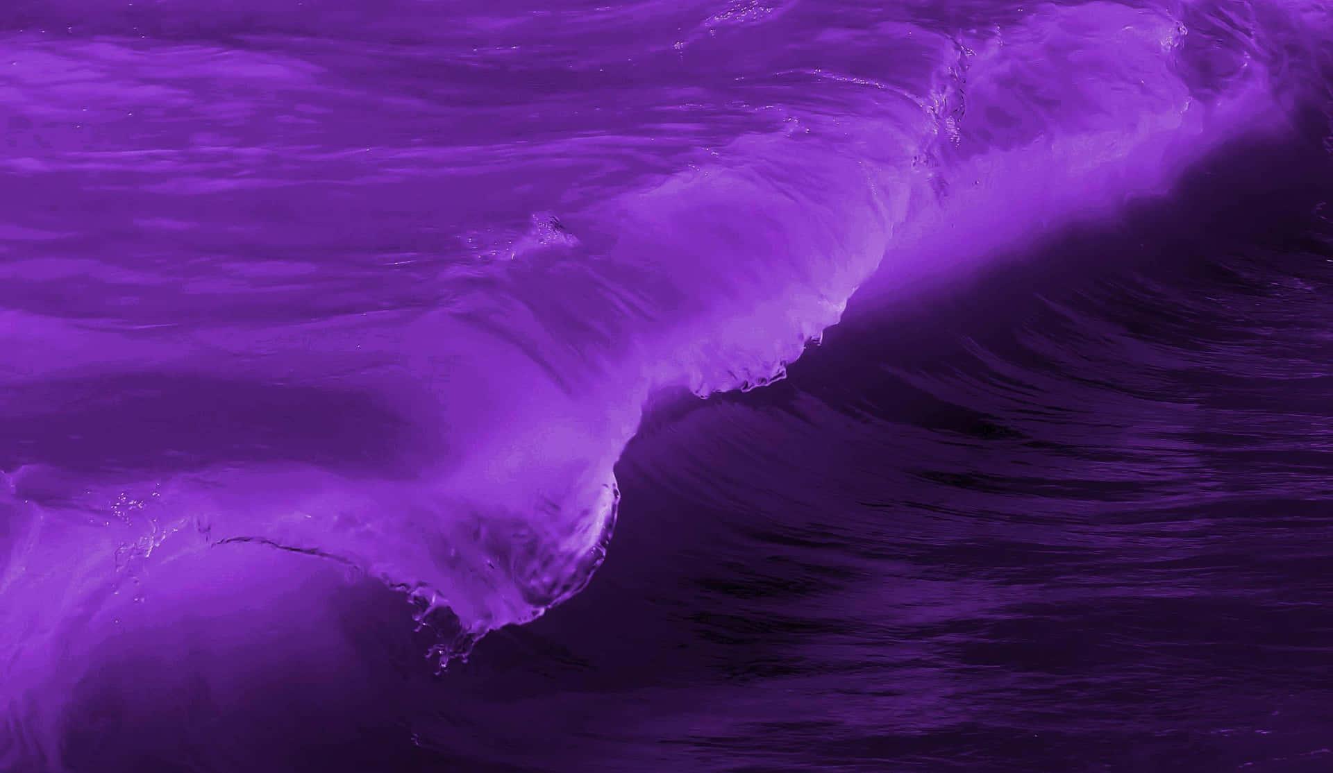 Enjoy The Visual Pleasure Of Purple Aesthetics