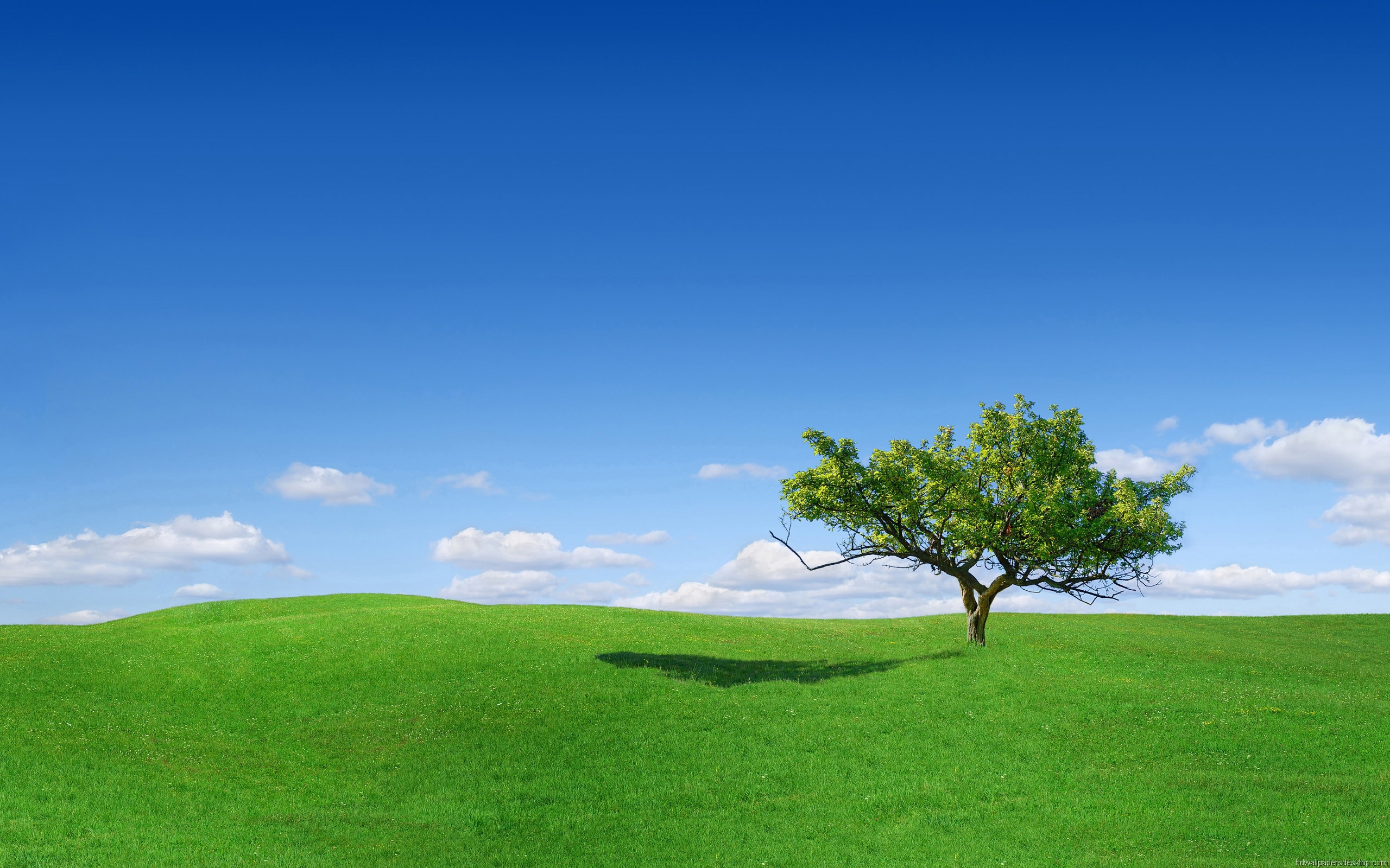 Landscape Wallpaper HD Widescreen Desktop