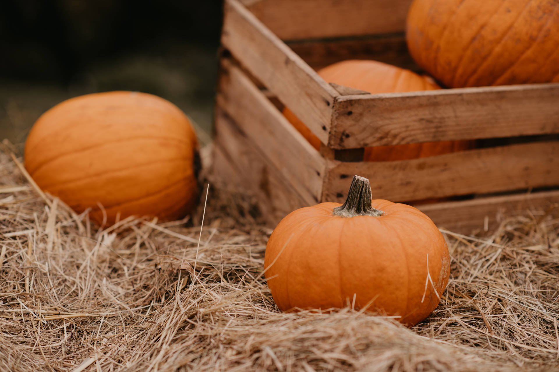 Cozy Autumn Wallpaper