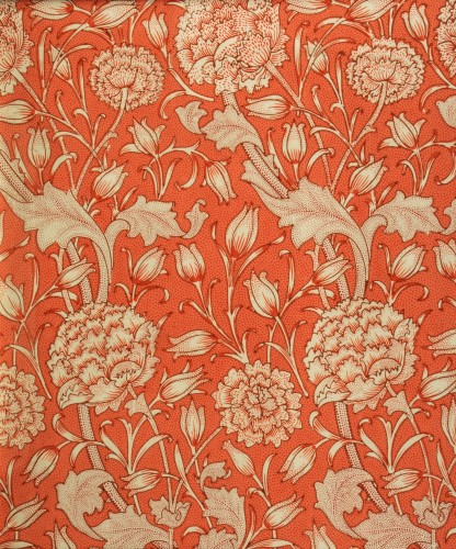 Wild Tulip Wallpaper Designed Registered November