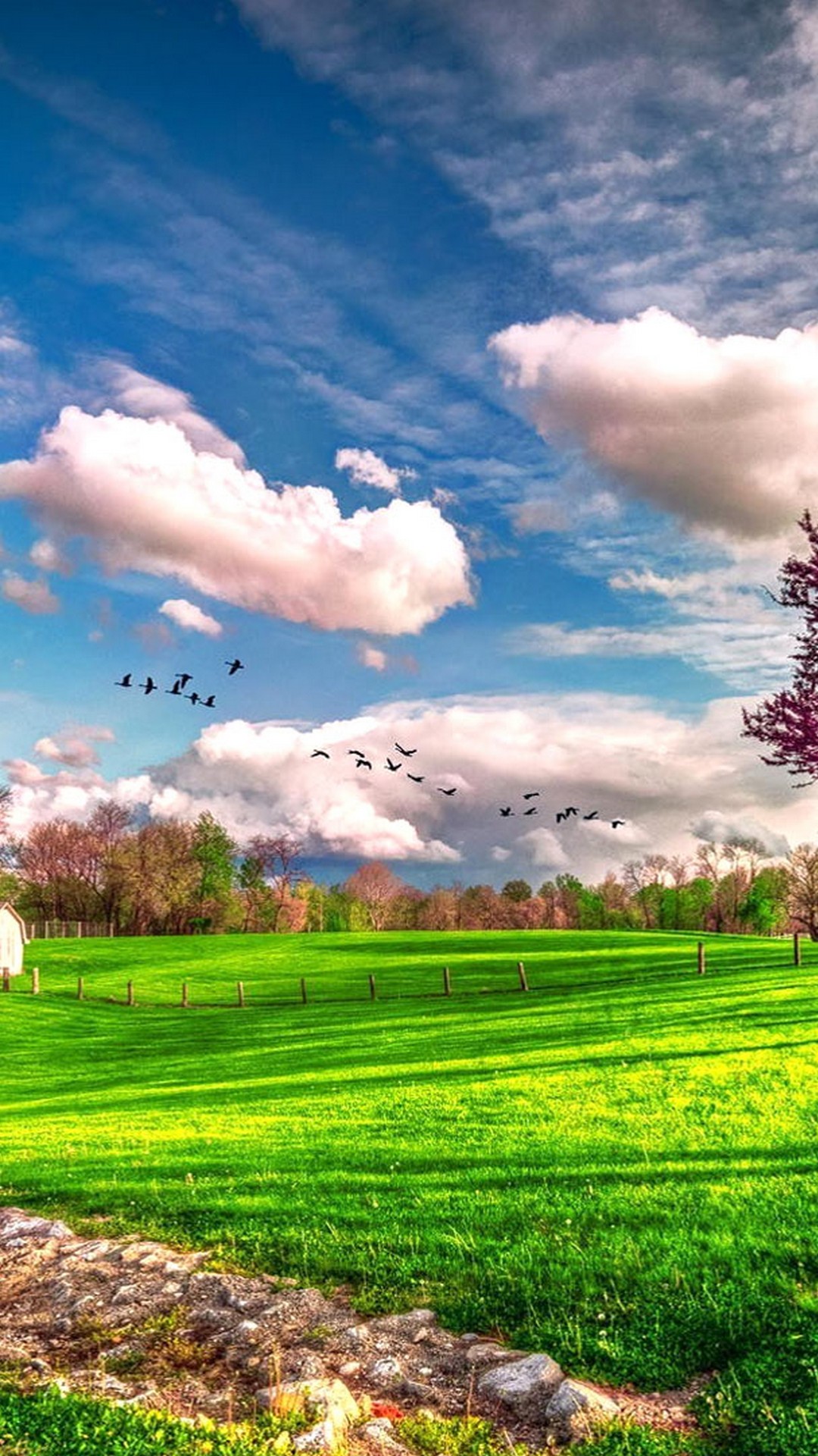 Spring Nature Background For Android Wallpaper