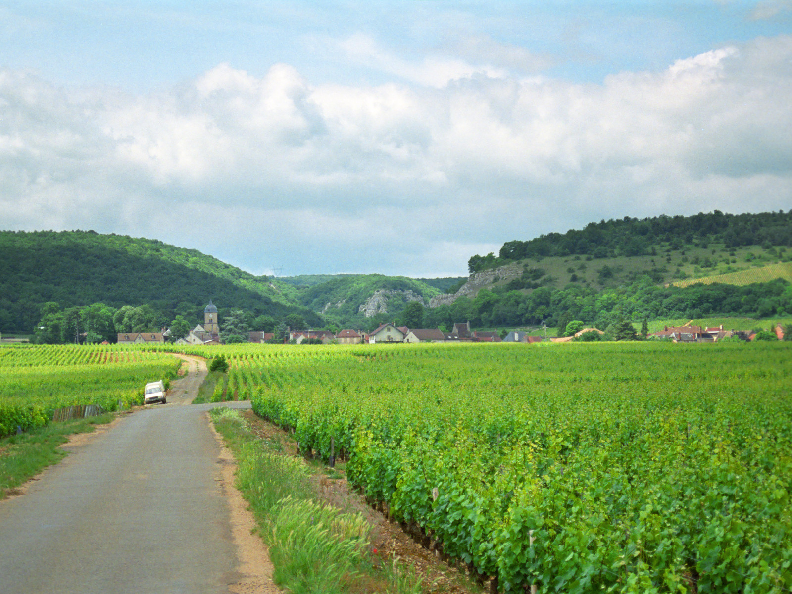 Vineyards near Dijon Travel Wallpaper and Stock Photo