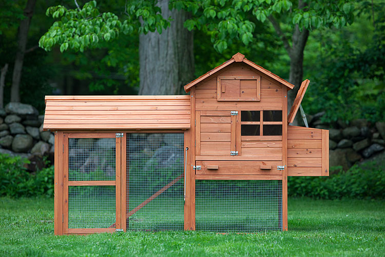 The Clubhouse Coop W Run Chickens From My Pet Chicken
