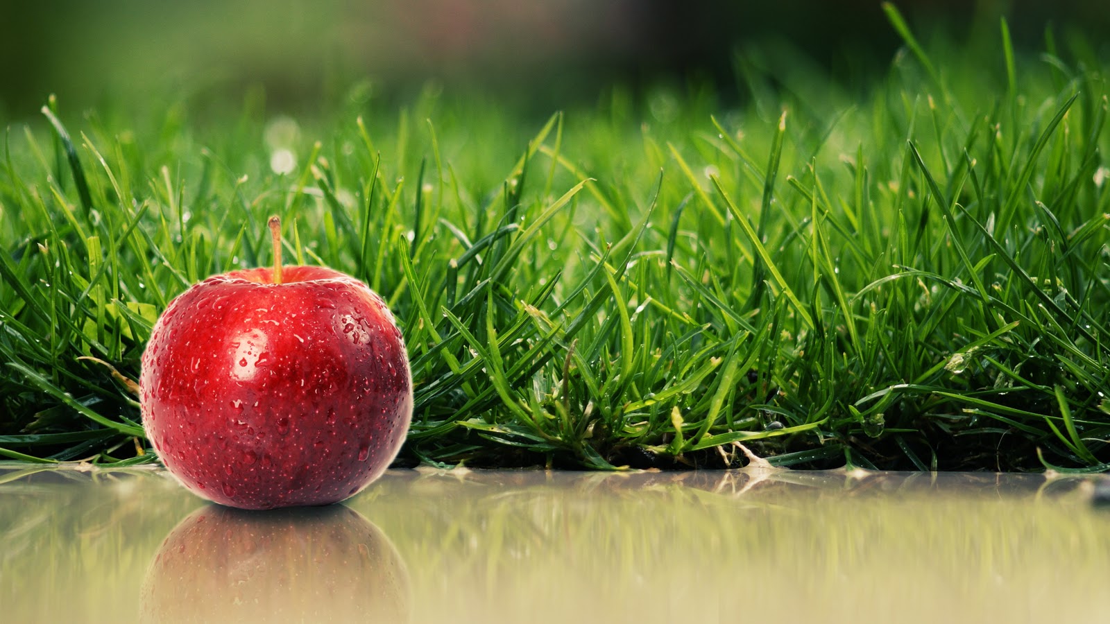 Real Apple Red Nature HD Wallpaper