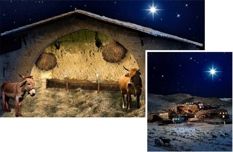Christmas Nativity Background Medium