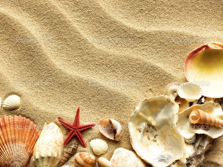 Sea Shell Love