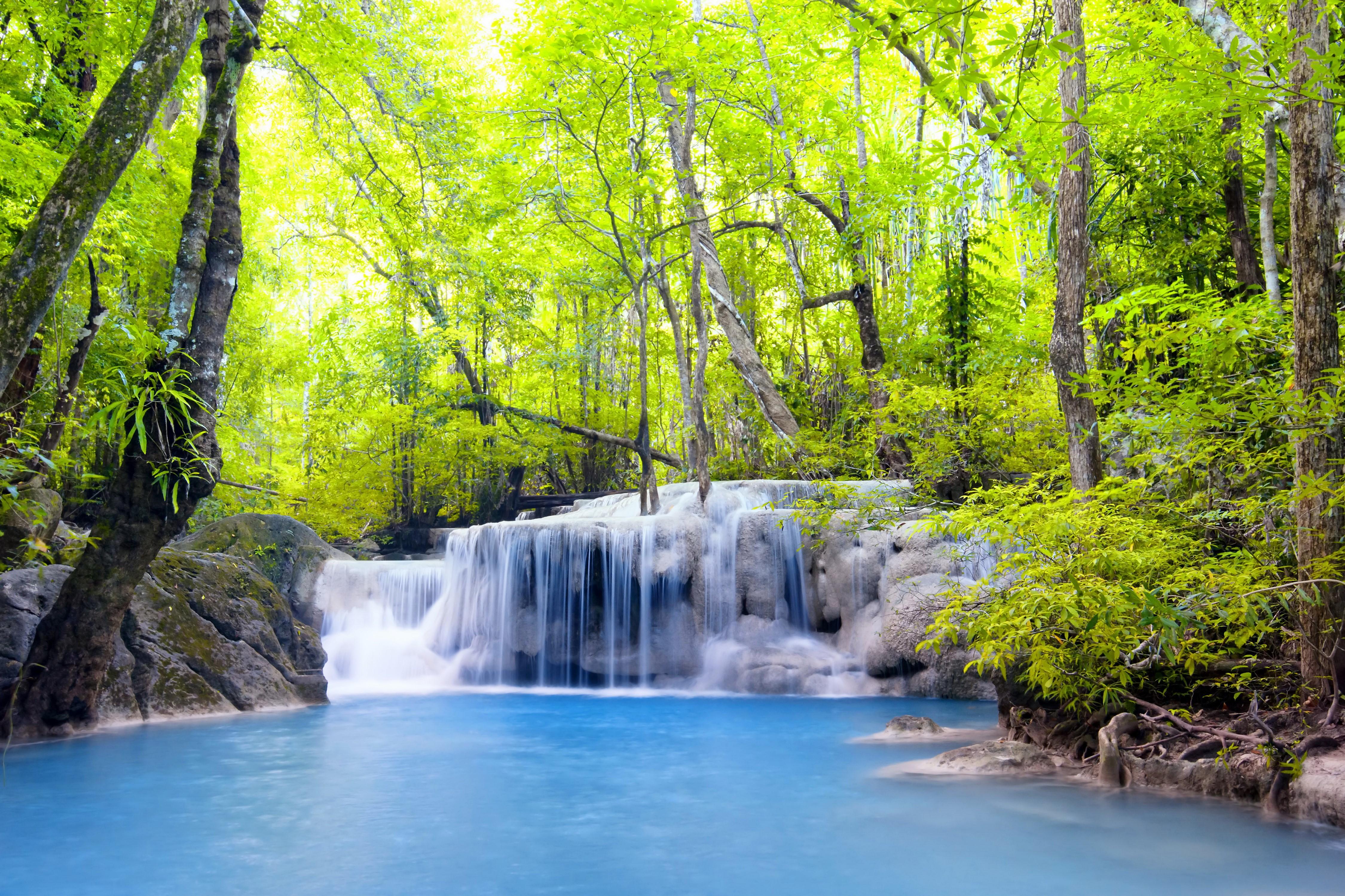 4k Waterfalls Forests Spring Rare Gallery HD Wallpaper