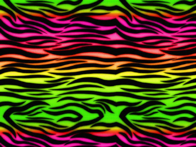 Rainbow Zebra Wallpaper