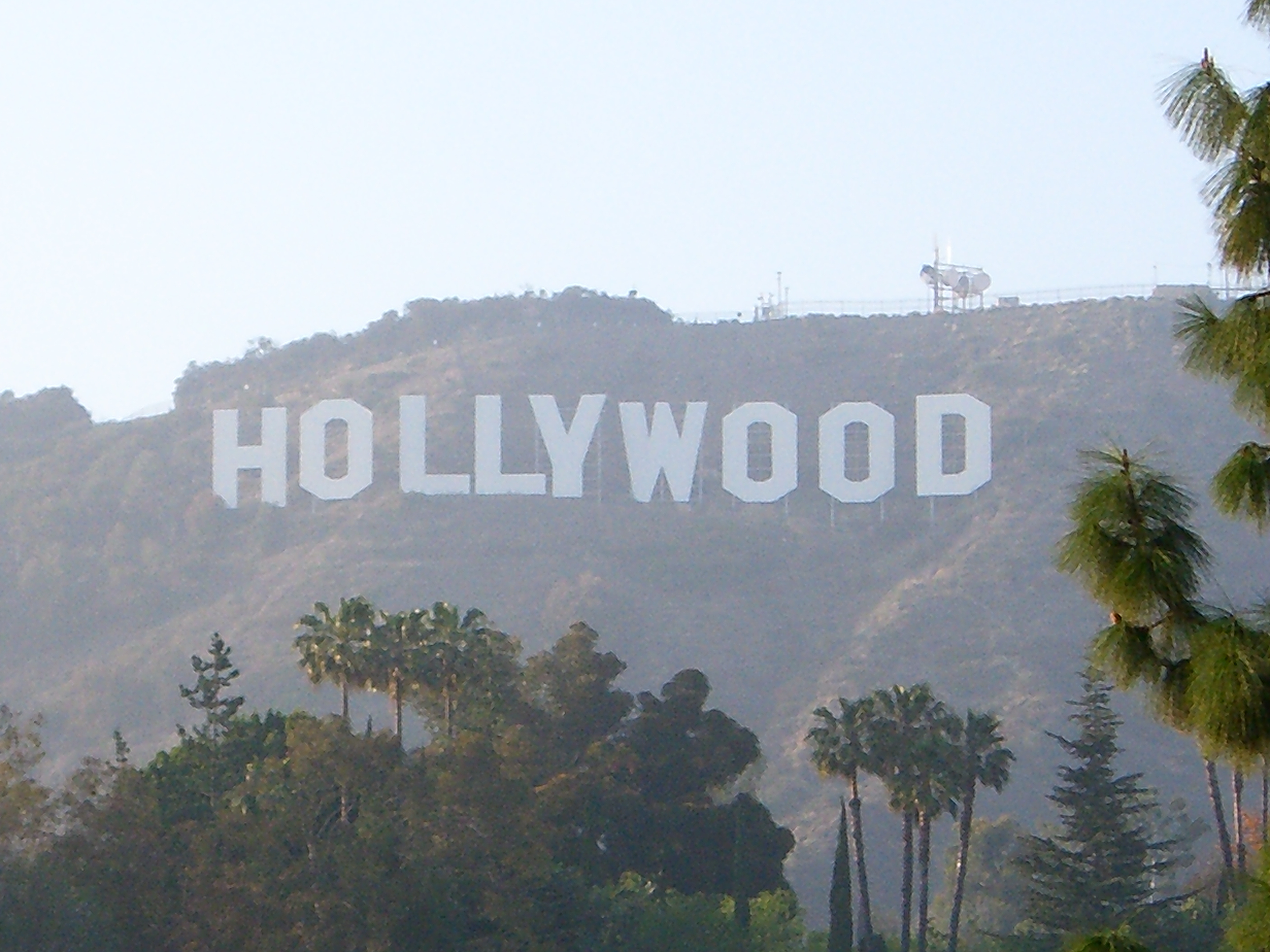 To The Hollywood Sign Wallpaper Picswallpaper