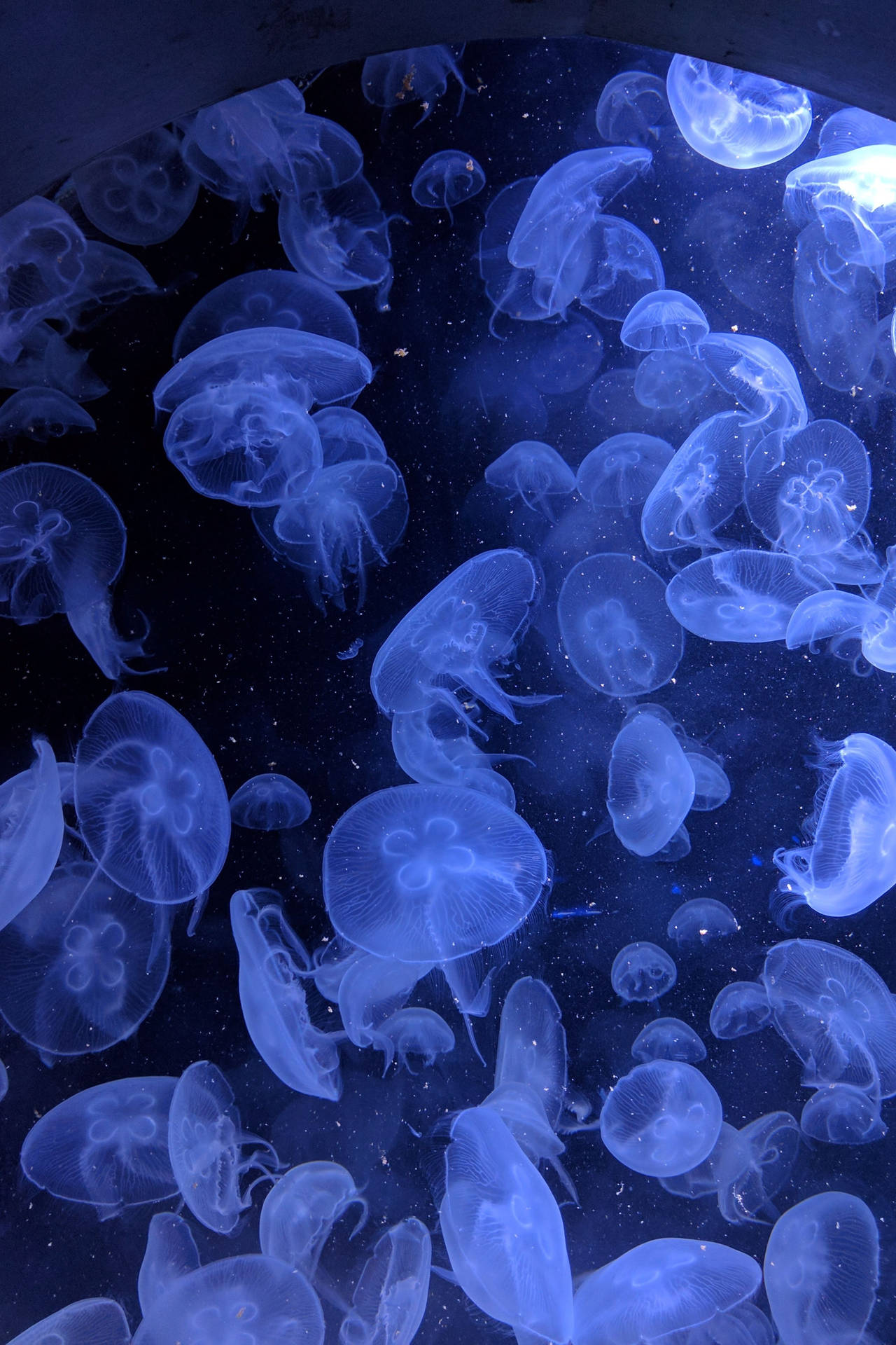 Neon Blue Aesthetic Wallpaper
