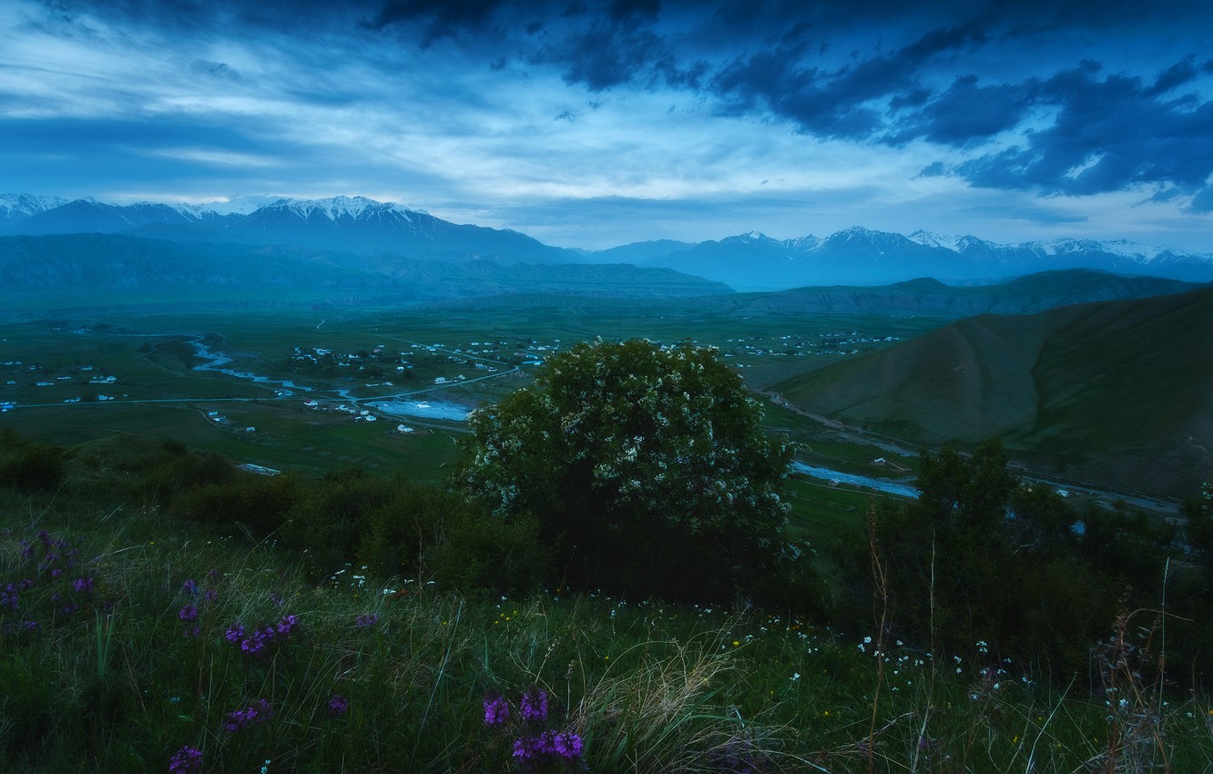 Wallpaper Flowers Mountains River The Evening Valley