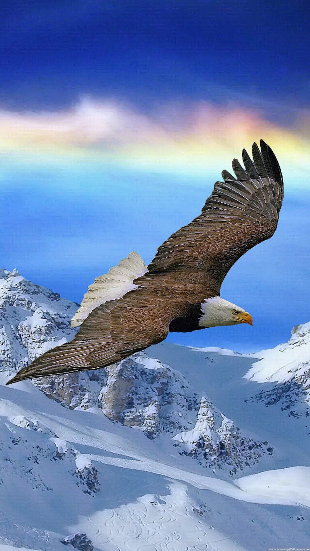 Flying Eagle Wallpaper