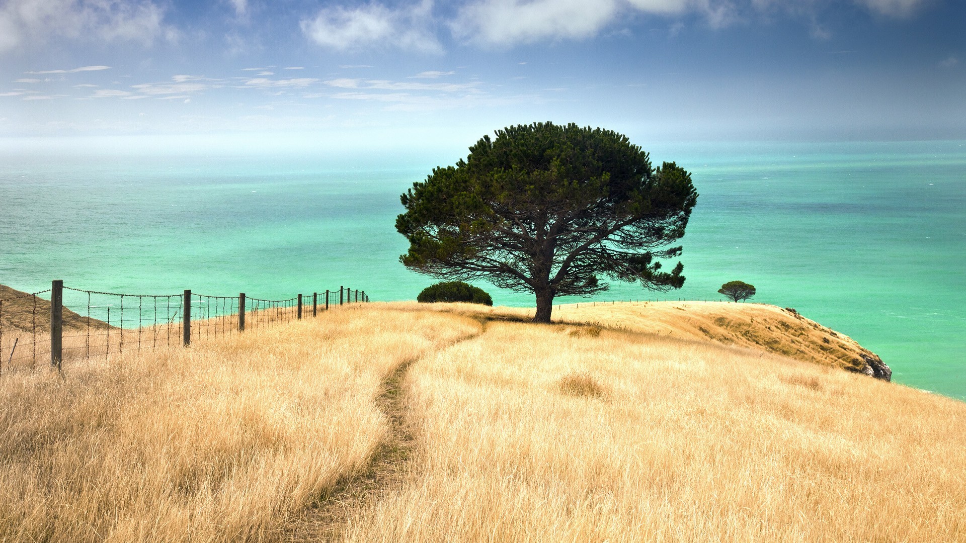 New Zealand Wallpaper