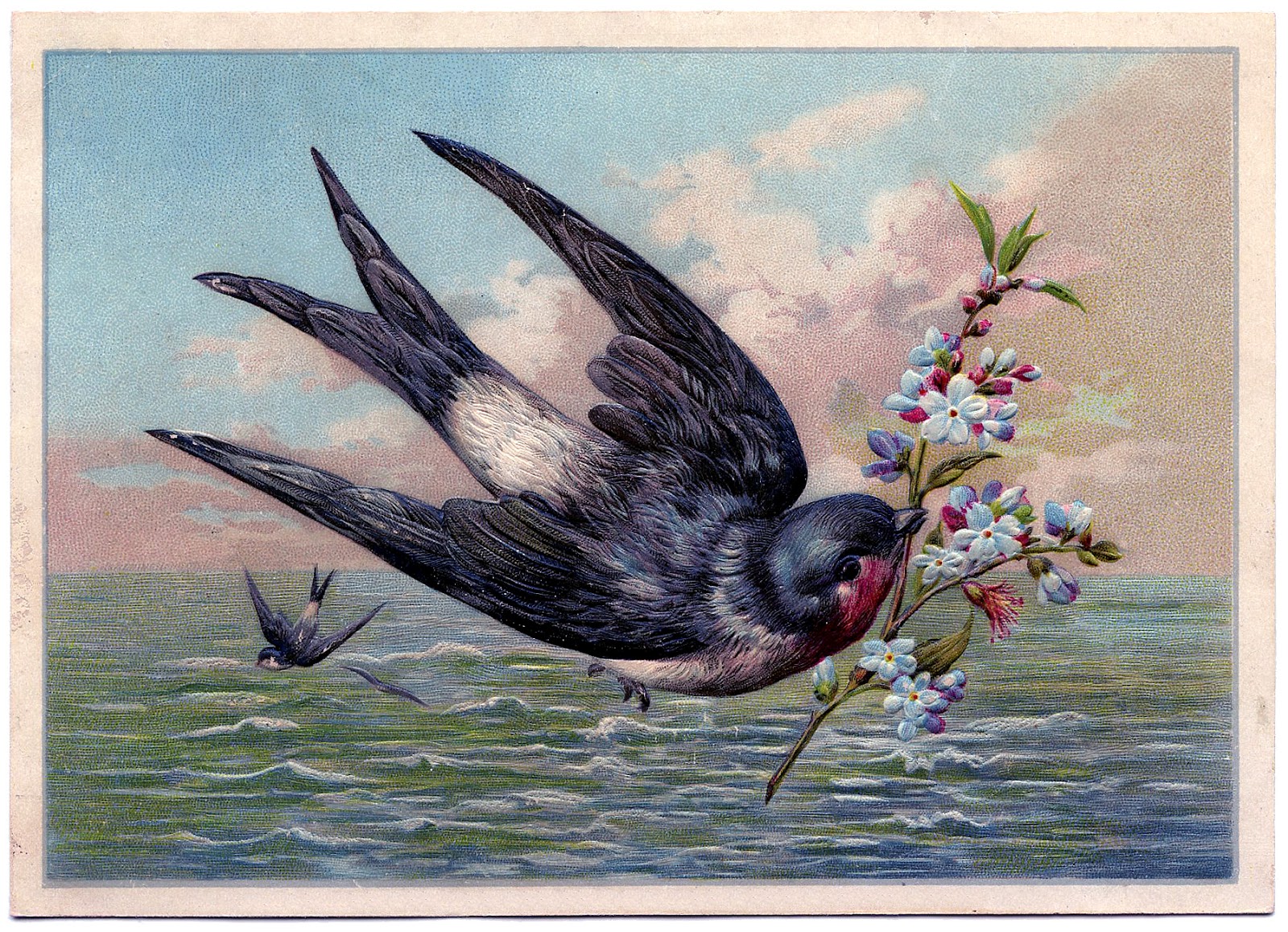 Vintage Graphic Beautiful Swallow Bird At Sea The