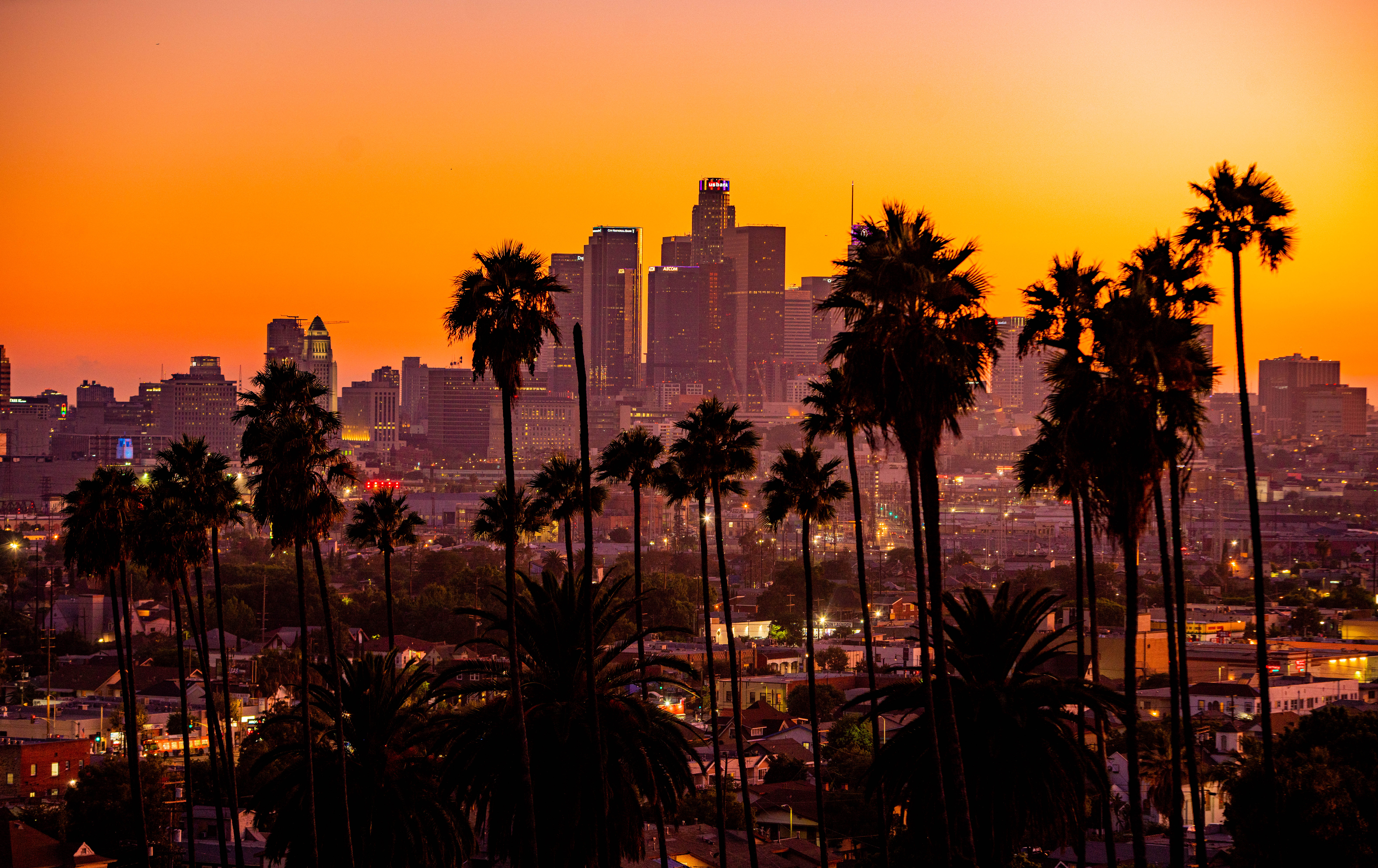 Wallpaper City Palm Trees Sunset Buildings