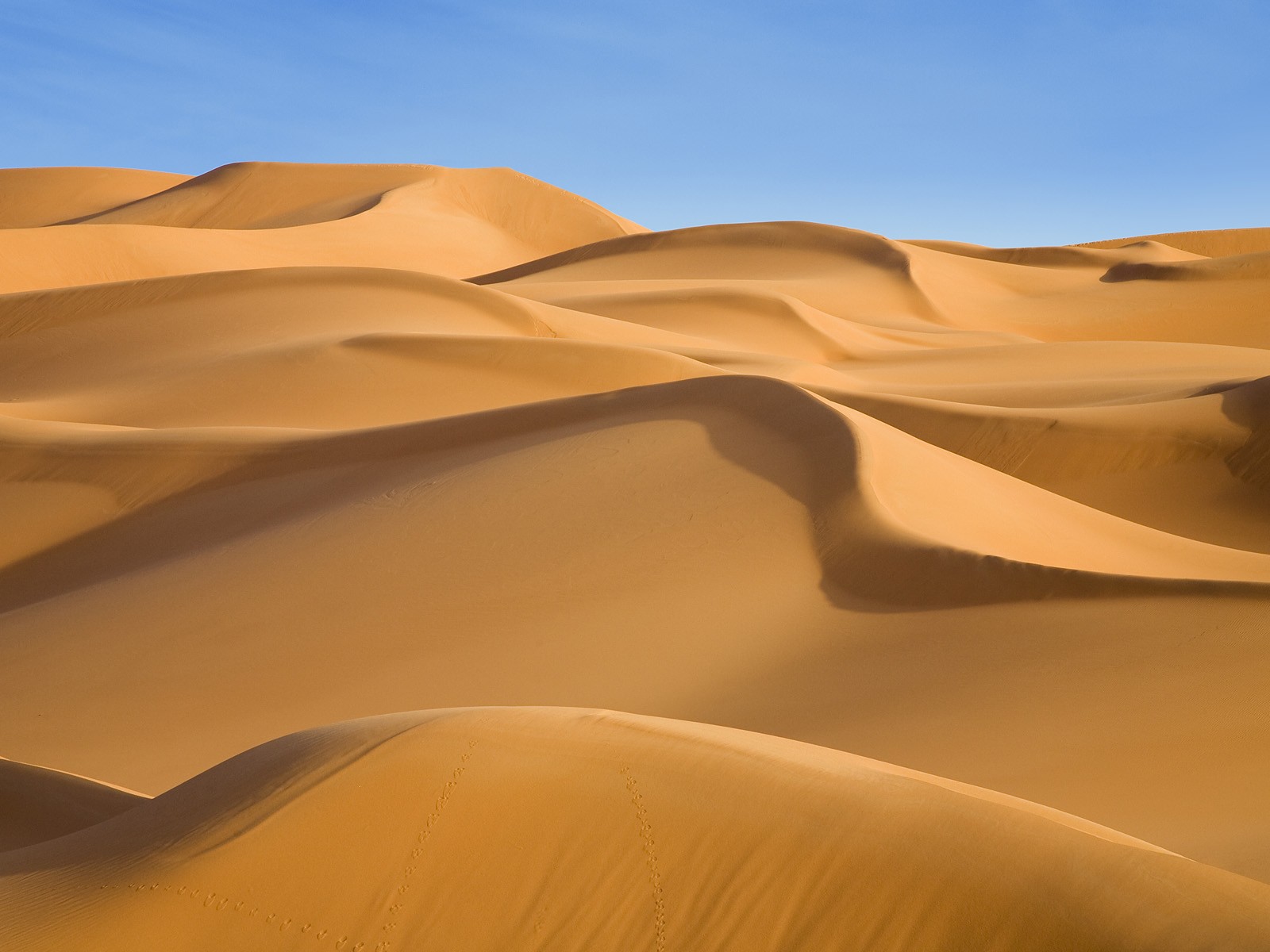 Desert Landscape Wallpaper