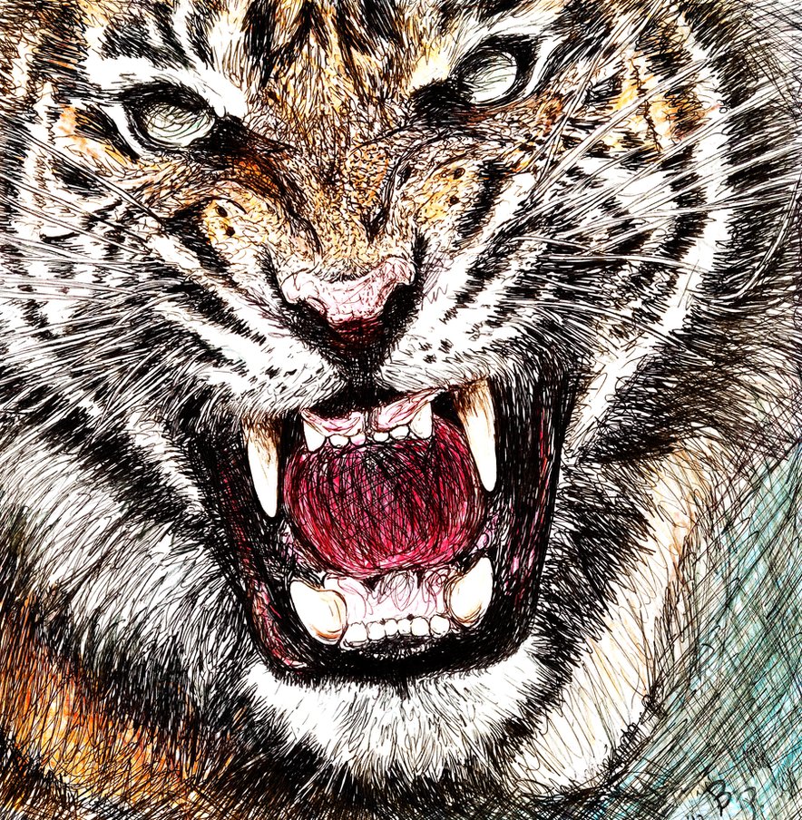Angry Tiger Eyes Drawing
