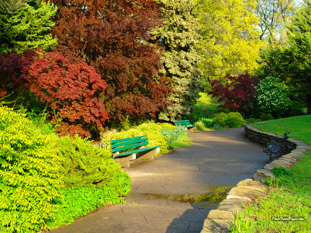 Beautiful Spring Scenery Of A Park Garden Green