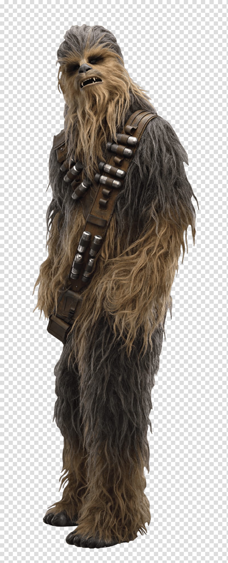 Chewbacca Transparent Background Png Clipart Hiclipart