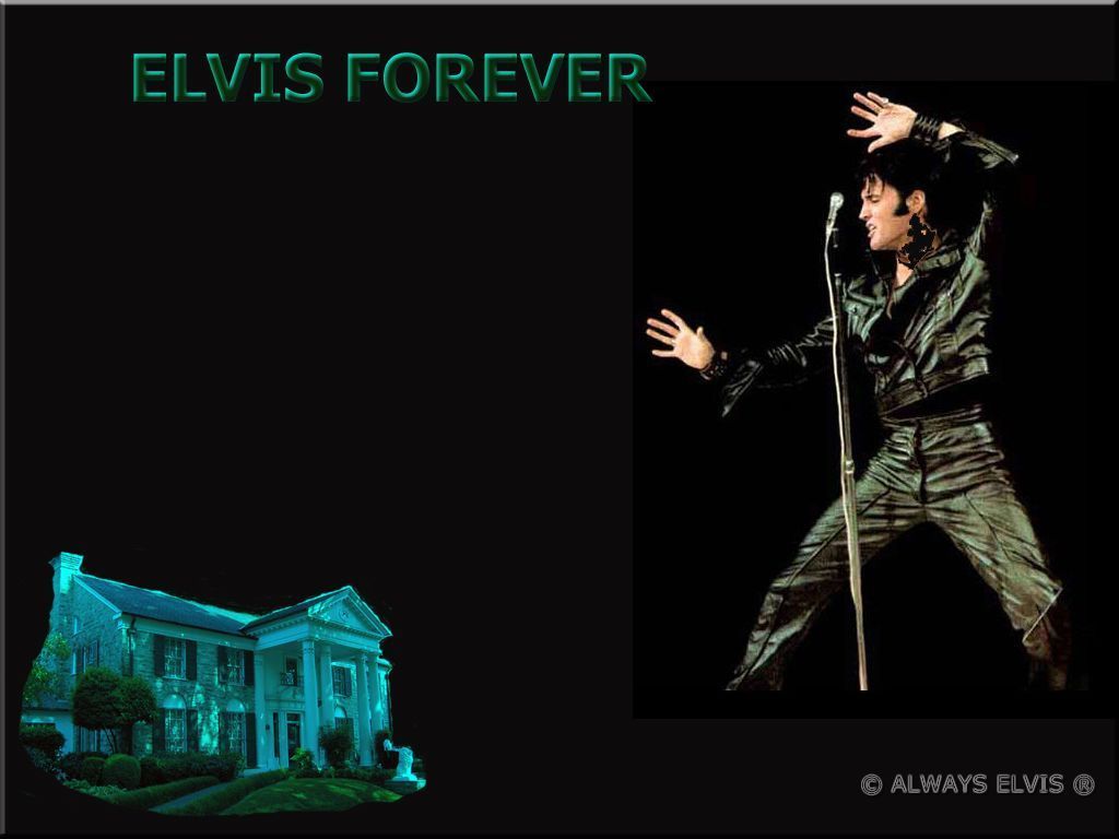 Elvis Presley Image HD Wallpaper And Background