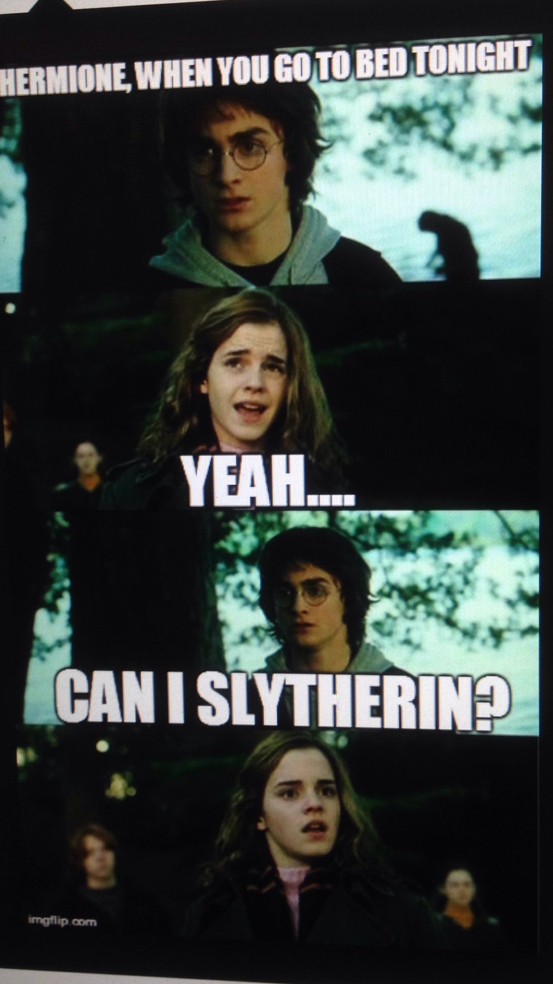 Um No Harry Potter Memes Hilarious Puns