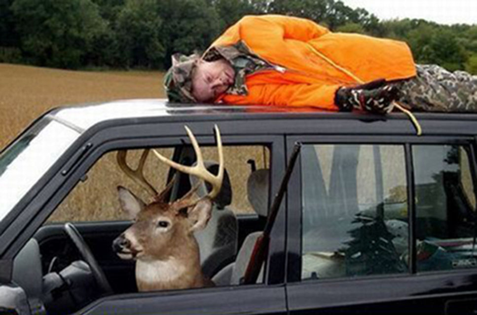 Funny Deer Hunting Pictures Loopele