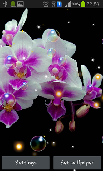 Orchid HD Livewallpaper For Android Apk