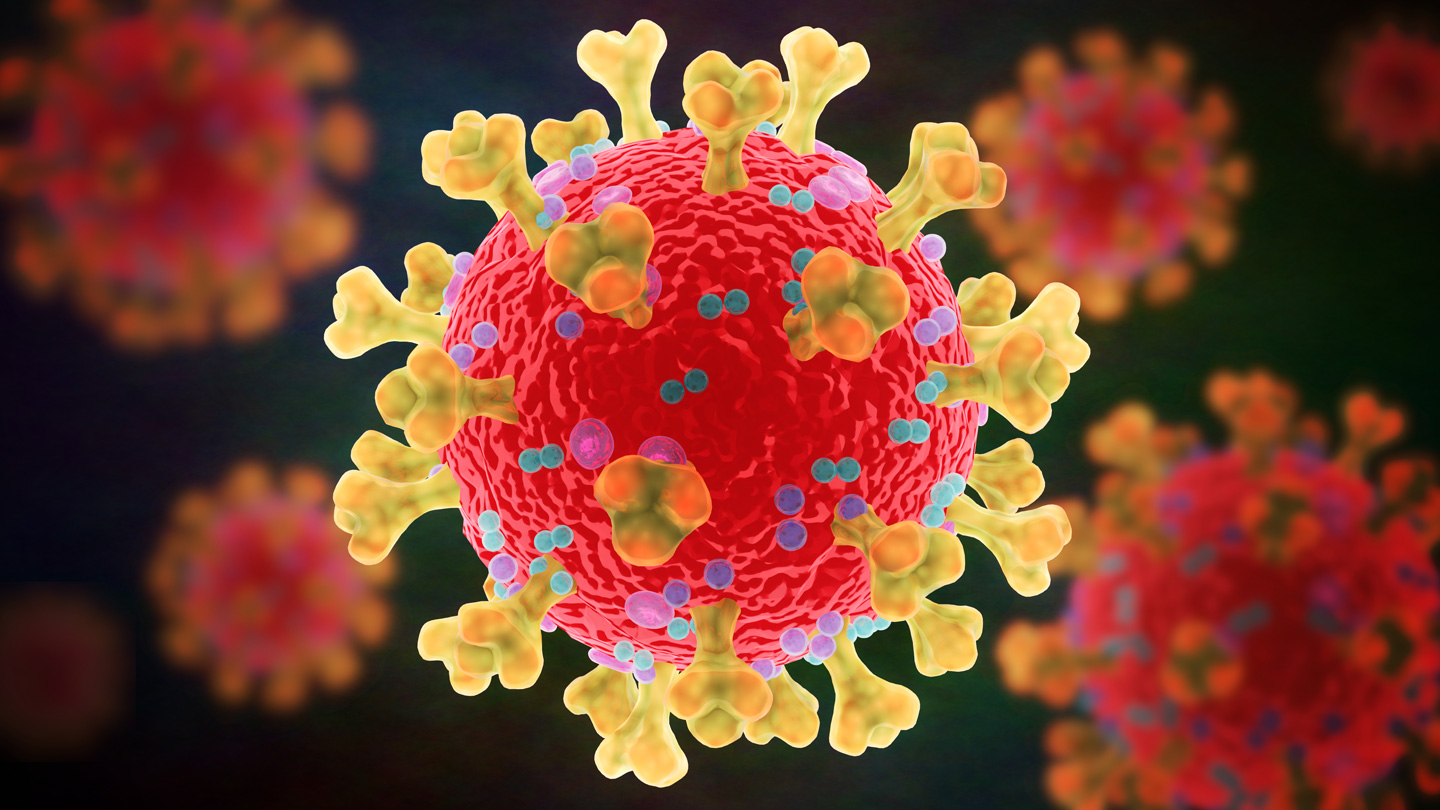 Researchers Find Evidence Of A Coronavirus Epidemic Years Ago Wallpaper