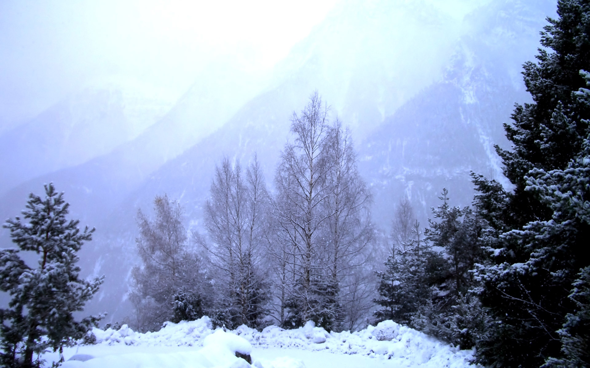 Widescreen Winter Snow Scenes Dreamy Wallpaper Pictures